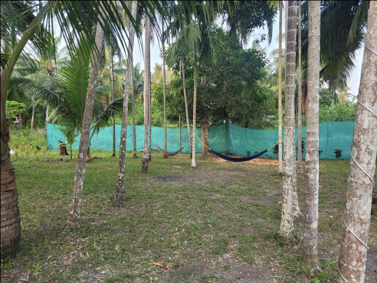 Blue Lagoon Resort, Neil Island Sitapur المظهر الخارجي الصورة