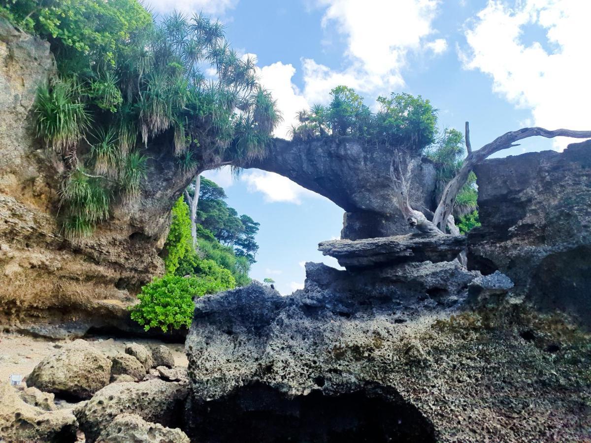 Blue Lagoon Resort, Neil Island Sitapur المظهر الخارجي الصورة
