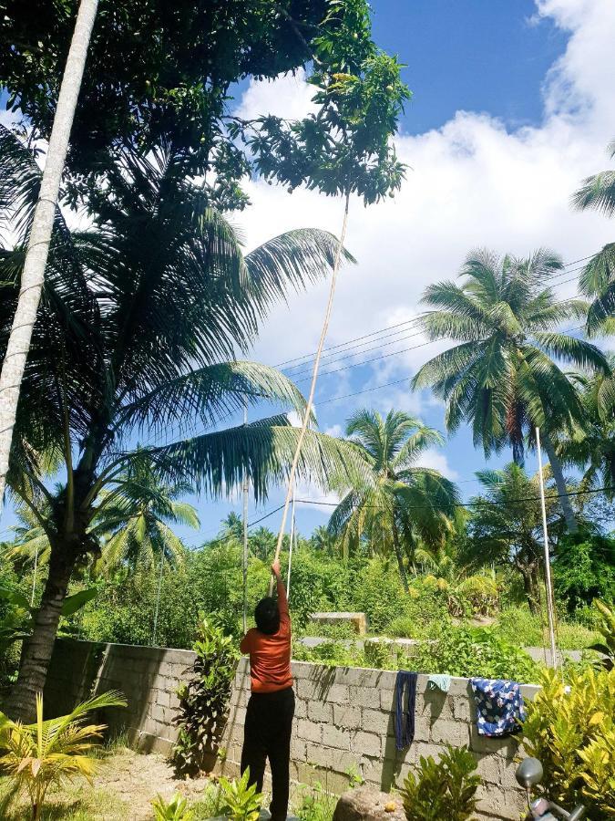 Blue Lagoon Resort, Neil Island Sitapur المظهر الخارجي الصورة